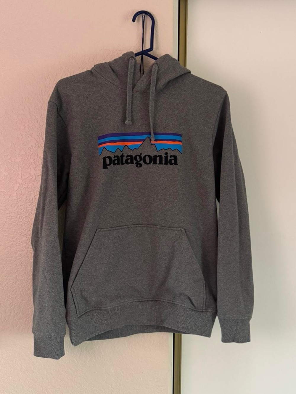 Patagonia Gray Hoodie with Multicolor Mountain Logo